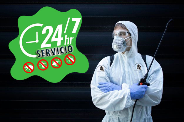 fumigaciones 24 horas en guadalajara