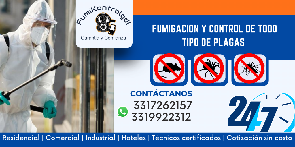 Fumigaciones de chinches